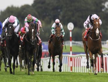 Racing comes from Haydock on Saturday